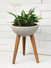 matera-de-piso-para-planta-de-interior-maceta-decorativa-en-concreto-habibi-plantitas.jpg